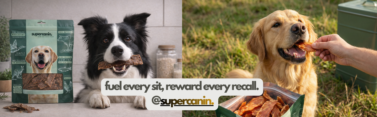 Fuel every sit, reward every recall. Follow Supercanin on Instagram